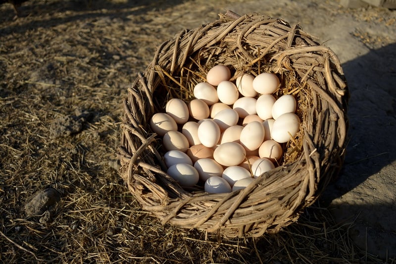 Environmentally Conscious Art