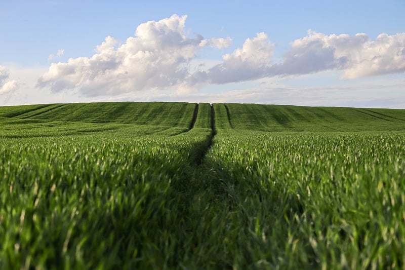Mason Jar Herb Garden